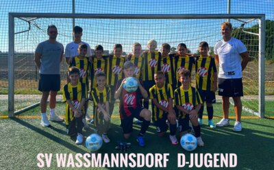D-Jugend zieht mit Kantersieg im Derby in die 2. Pokalrunde ein (Bild vergrößern)
