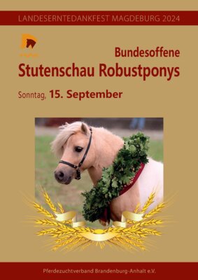 Foto zur Meldung: Bundesoffene Stutenschau Robustponys