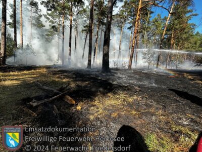 Einsatz 81/2024 | 3000m² Waldbodenbrand | B179 OV Gräbendorf - Bestensee (Bild vergrößern)