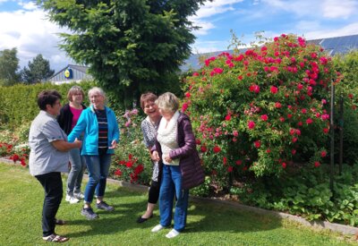 Foto zur Meldung: Blüten, Kaffeetafel und gute Gespräche: Rosenkränzchen in Putlitz
