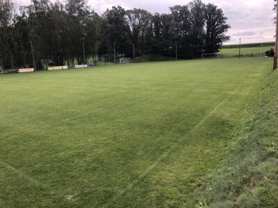 Der Rasenplatz in Ruppersdorf. (Bild vergrößern)