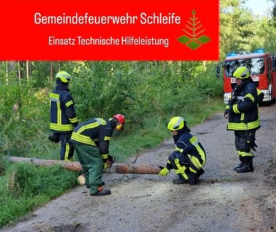 Foto zur Meldung: Einsatzbericht 34/2024 - 14.09.2024 - TH1, Baum über Radweg, Schleife