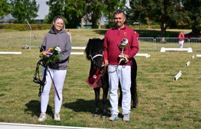 Foto zur Meldung: Ergebnis der Staatsprämienschau für Kaltblut, Pony- und Spezialrassen
