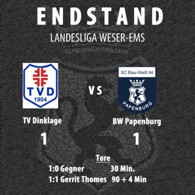 Ausgleich in der Nachspielzeit (Bild vergrößern)