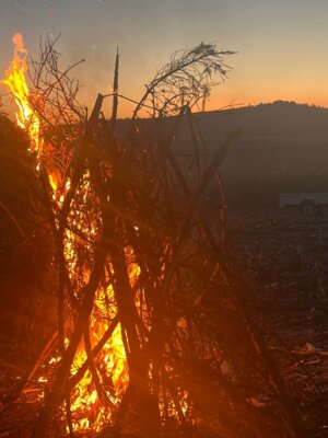 Foto zur Meldung: Kartoffelfeuer 2024