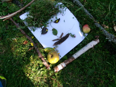 Auf der Streuobstwiese