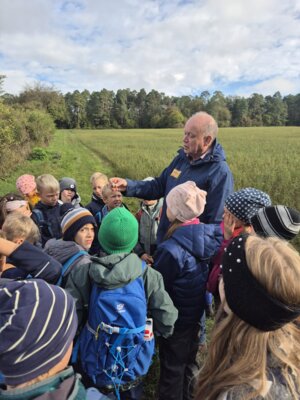 Die Kinder der Klassen 2a und 2b erkunden die Hecke als Lebensraum