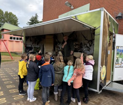 Ab in den Wald - Projekttag an der Grundschule Putlitz