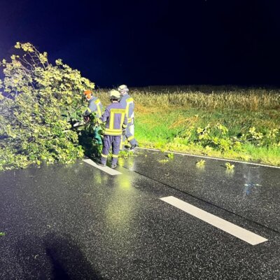 🚨🚨Einsatzinfo🚨🚨 (Bild vergrößern)