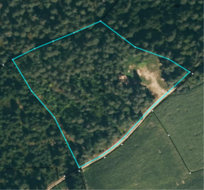 Waldgrundstückes Flurnummer 688 der Gemarkung Demeldorf