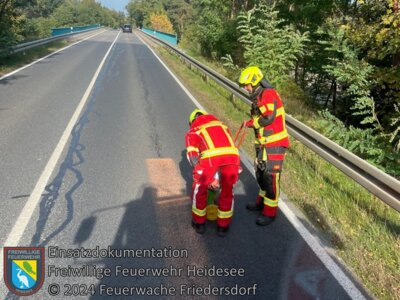 Meldung: Einsatz 96/2024 | 750m Ölspur | L39 OV Friedersdorf - AS Friedersdorf