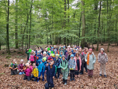 Waldtag im Oktober (Bild vergrößern)