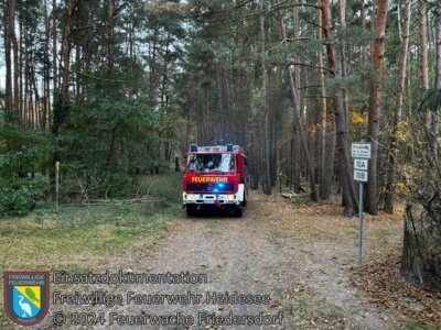 Meldung: Einsatz 97/2024 | Baum auf Straße | Friedersdorf Straße Nr. 12