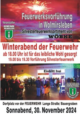 Winterabend am 30.11.2024 (Bild vergrößern)