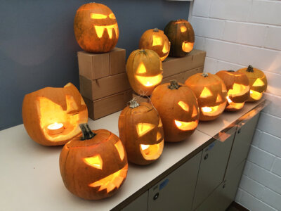 Halloweenkürbisse der MSA