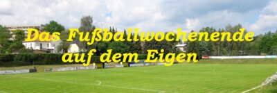 Der EFV 03- Spieltag (02./ 03.11.2024) in der Vorschau
