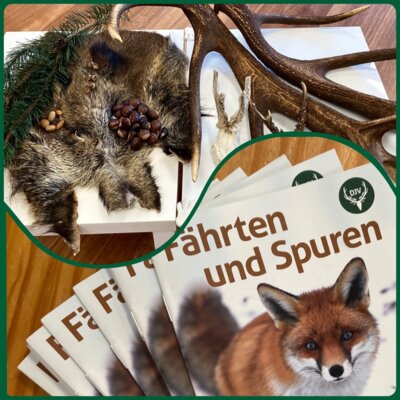 Besuch der Rollenden Waldschule