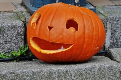 Foto zur Meldung: Eindrücke von Halloween 2024 in Schmalensee