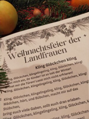 Weihnachtsfeier 11.12.2024 (Bild vergrößern)