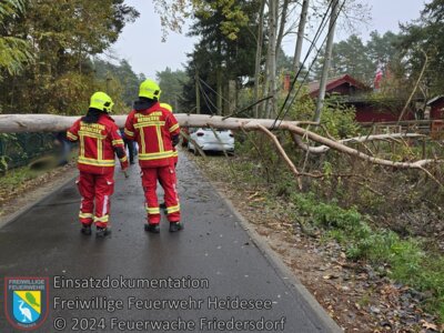 Meldung: Einsatz 103/2024 | Baum auf Straße | Friedersdorf Fürstenwalder Straße