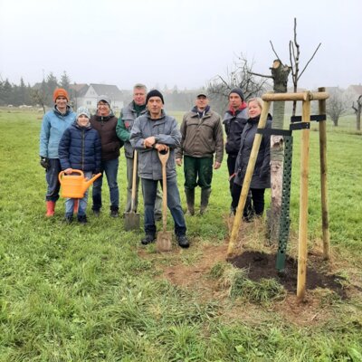 Foto zur Meldung: Pflanzworkshop