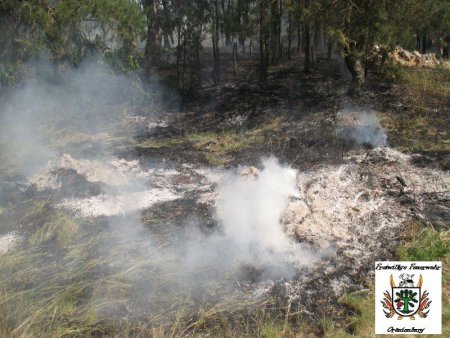 2 Wald 28.05.12 2 Wald 28.05.12