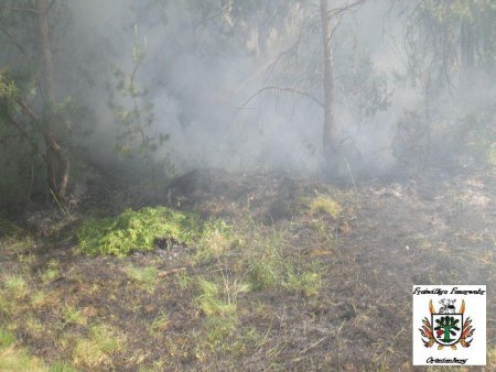 1 Wald 28.05.12 1 Wald 28.05.12