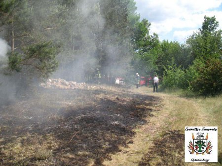 4 Wald 28.05.12 4 Wald 28.05.12