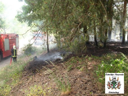 6 Wald 28.05.12 6 Wald 28.05.12