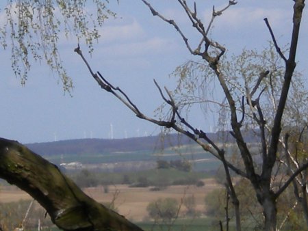 Blick vom Weinberg nach NO