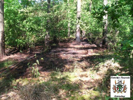 1 Wald 24.05.12 1 Wald 24.05.12