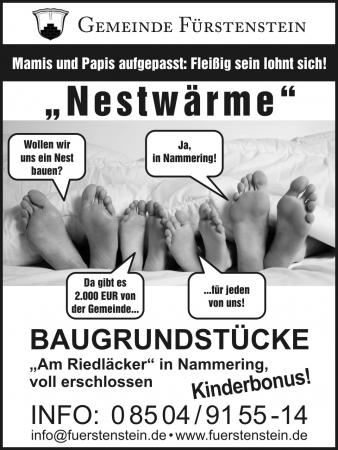 Nestwärme