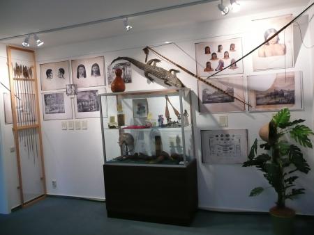 Blumenaumuseum Hasselfelde