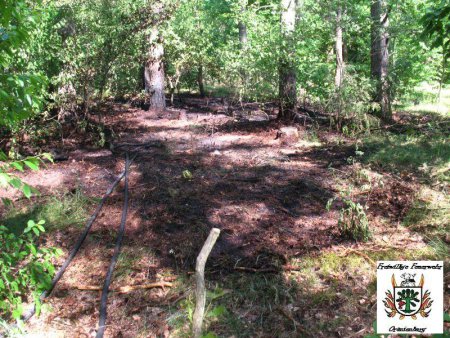 2 Wald 24.05.12 2 Wald 24.05.12