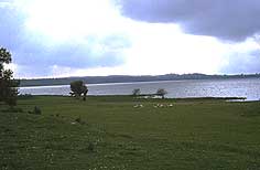 grimnitzsee_sommer.jpg grimnitzsee_sommer.jpg