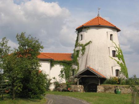 Turmholländer Groß Marzehns Turmholländer Groß Marzehns