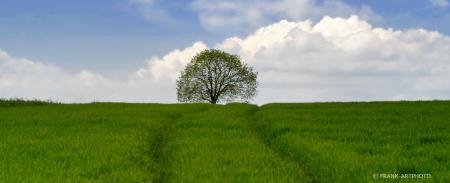 Landschaft RHB