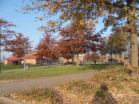 Unsere Schule im Herbst 2011