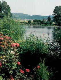 Herrenhof - Bild 1
