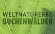 home_buchen.jpg home_buchen.jpg