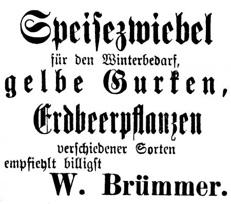 Annonce im Neukalener Tageblatt vom 25.8.1914