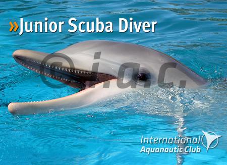 junior_scuba2013.jpg junior_scuba2013.jpg