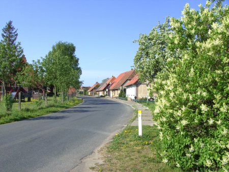 Die Dorfstraße (Schlakendorf)