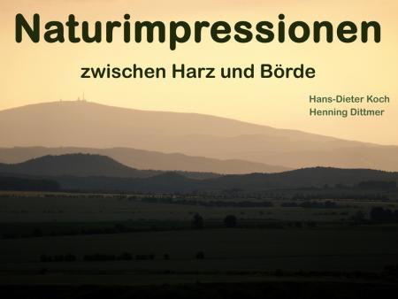 Naturimpressionen.JPG