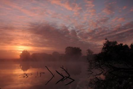 Naturimpressionen_2.JPG