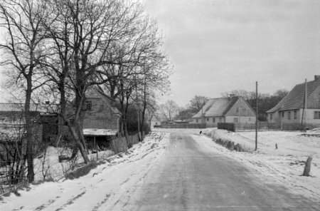 Dorfstraße um 1955