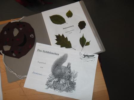 Präsentation Wald_9 Präsentation Wald_9