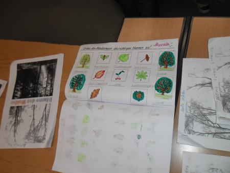 Präsentation Wald_14 Präsentation Wald_14