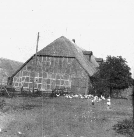 Gänseherde vor dem Kuhstall Juli 1931