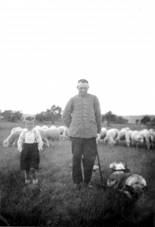 Albert Päplow und Sohn Karl-Heinz mit Schafherde